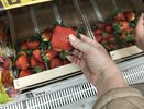 В Кировскую область завезли первые зарубежные ягоды