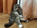 В Кировской области назвали дату отключения отопления