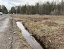 После жалоб кировчан Ново-Макарьевское кладбище осушили