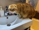 В Кировской области 70 домов лишились воды почти на месяц