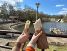 В Кирове популярный ларек с шаурмой уличили в работе без ветеринарного учёта