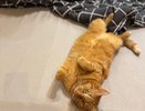 Как продлить срок службы постельного белья: 7 советов, которые сэкономят вам до 10 000 рублей в год