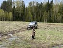 Шесть охотничьих билетов аннулировали в Кировской области из-за судимостей владельцев