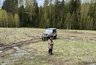 Шесть охотничьих билетов аннулировали в Кировской области из-за судимостей владельцев