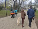 Кировская область выберет «Семью года» среди 57 участников