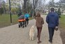 Кировская область выберет «Семью года» среди 57 участников