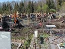 Соколов дал чиновникам один день на кладбище