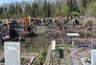 Соколов дал чиновникам один день на кладбище