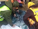 В лесу под Кировом нашли пропавшего ребенка