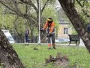В Кирове начали массово косить траву на улицах