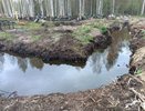 На затопленном кировском кладбище экстренно вырыли 200 канав