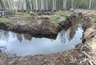 На затопленном кировском кладбище экстренно вырыли 200 канав