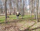 Войну клещам объявили на маршруте Великорецкого крестного хода