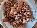 Лета не ждите: в мае можно собрать 8 деликатесных грибов, которые вкуснее и ароматнее