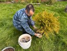 Клещи бегут как ошпаренные: эти 5 растений создают невидимый для людей, но смертельный для паразитов барьер