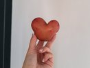 Разрезаю каждую картофелину перед посадкой — и куст выдает до 15 крупных клубней. 3 важных правила для рекордного урожая