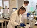 В филиале «КЧХК» определили лучших лаборантов