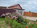 Даже в глухой тени они будут сиять: 11 цветов, которые превратят мрачный уголок сада в цветущий рай (без солнца)