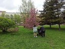 В России начали платить зарплату бабушкам до 45 тысяч рублей