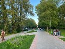 В двухстах километрах от Кирова создают «Путь Саламандры»