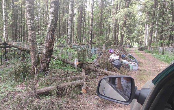 Кладбище в Кирове завалило поваленными деревьями