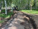 В парке Победы высадят более 180 деревьев и кустарников