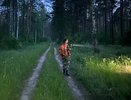 В Белой Холунице пропавшего больного дедушку нашли в лесу
