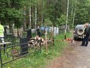 В Кирове затопленное кладбище передадут другому подрядчику
