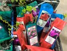 Геотекстиль за 451 ₽, удобрение для гортензий за 208 ₽ и липкая лента от мух: 8 выгодных находок из Светофора