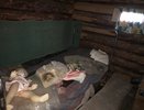 Кировчанин истязал маленьких детей своей любовницы