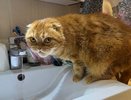 В Кирове проверили качество питьевой воды