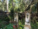 Кировчане борются с поваленными ураганов деревьями на кладбище