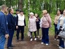 Кировчанам объяснили причины вырубки деревьев в Парке Победы