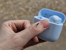 Вкусный запах для нас, смертельный для комаров: отпугиваем мух и комаров без липких лент