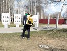 Власти перечислили обработанные от клещей парки и улицы Кирова