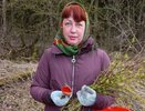 Жителям Кирова разрешат собирать грибы через Госуслуги