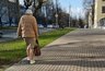 Температура в Кирове обрушится в два раза к 9 мая