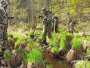 Там, где шли бои: участники военно-исторического общества Кировской области "Фронт" присоединились к поиску пропавших без вести солдат