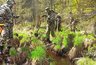 Там, где шли бои: участники военно-исторического общества Кировской области "Фронт" присоединились к поиску пропавших без вести солдат
