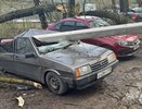 Ураган в Кирове раздавил машины и покалечил людей
