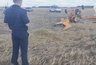 Кировчанин погиб в авиакатастрофе под Омском