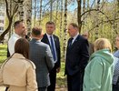 В кировском парке Победы создадут единую сеть пешеходных дорожек