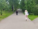 В Кирове преступник напал на женщину прямо в сквере