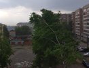 "От леса осталась только смесь стволов с землей": через Кировскую область прошли мощные смерчи