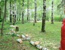 Подрядчику выписали штраф за незаконную вырубку деревьев в парке Победы