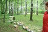 Подрядчику выписали штраф за незаконную вырубку деревьев в парке Победы
