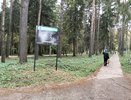Кировчанин поплатится за убийство бобра