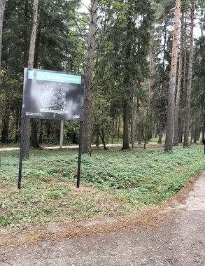 Кировчанин поплатится за убийство бобра