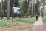 Кировчанин поплатится за убийство бобра