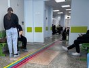 Кировская область заняла третье место в России по «мышиной лихорадке»